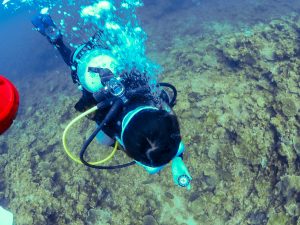 恩納村 ダイビングライセンス