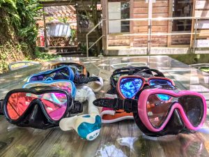 恩納村 ダイビングライセンス