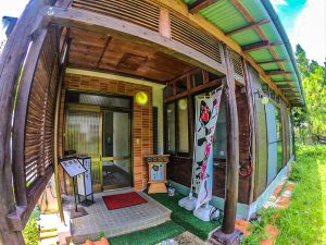 恩納村 ダイビングライセンス