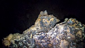 恩納村 ダイビングライセンス