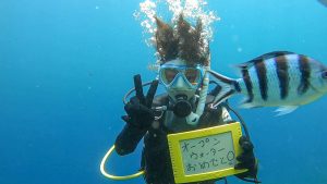 恩納村 ダイビングライセンス