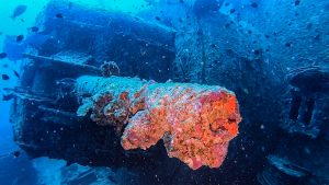 エモンズ ダイビング