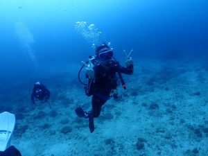 恩納村 ダイビングライセンス