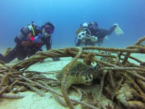 恩納村 ダイビング