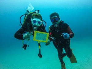恩納村 ダイビング