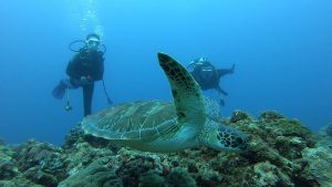 恩納村 ダイビングライセンス
