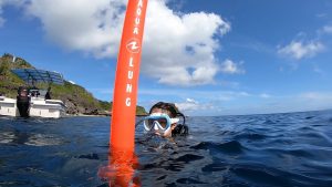 恩納村で取得 PADIダイビングライセンス一覧