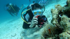 恩納村 ダイビングライセンス