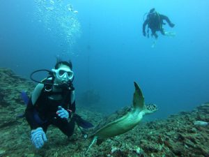 恩納村 ダイビングライセンス