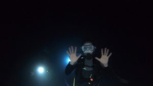 恩納村　真栄田岬でナイトダイビングでファンダイビング