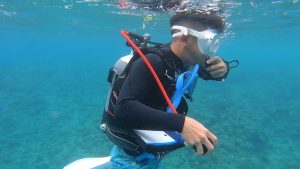 恩納村 ダイビングライセンス