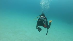 恩納村 ダイビングライセンス