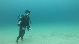 恩納村 万座でダイビング!すなすなのダイビングでした!