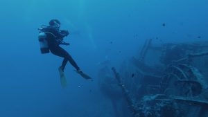 エモンズ　ダイビング