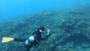 恩納村 ダイビング