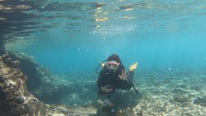 恩納村 ダイビングライセンス