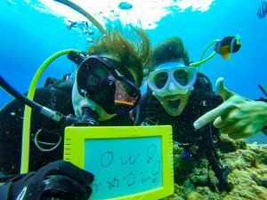 恩納村 ダイビングライセンス