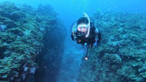 恩納村 ダイビング