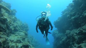 恩納村 ダイビング