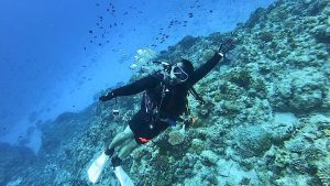 ケラマ ダイビングライセンス