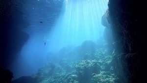 恩納村 ダイビングライセンス