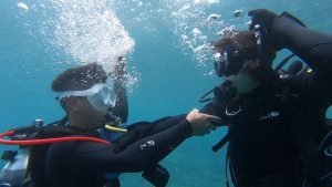 恩納村 ダイビングライセンス