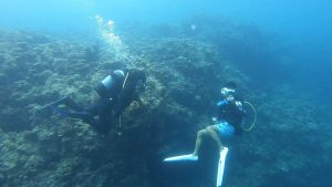 恩納村 ダイビングライセンス