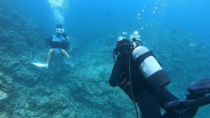 恩納村 ダイビングライセンス