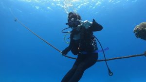 恩納村 ダイビング