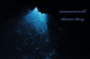 新しいインスタのアカウントを作りました。