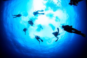 与那国 ダイビング