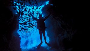 恩納村 ダイビング