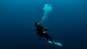 恩納村 ダイビング