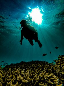 恩納村 ダイビングライセンス