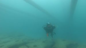 恩納村 ダイビングライセンス