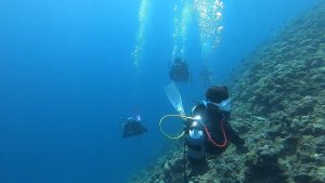 恩納村 ダイビングライセンス