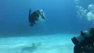 恩納村 ダイビング