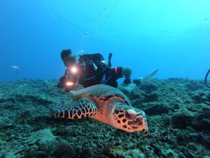 恩納村 ダイビング