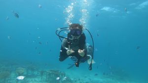 恩納村 ダイビングライセンス