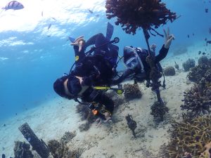 恩納村 ダイビング