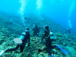 恩納村 ダイビングライセンス