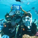 恩納村でファンダイビング&ダイビングライセンス講習!