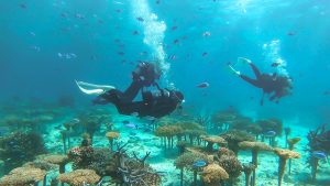 恩納村 ダイビングライセンス