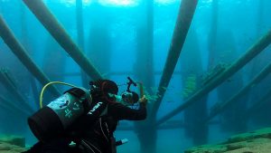 恩納村 ダイビングライセンス