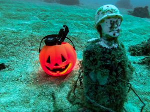 恩納村 ダイビングライセンス