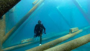 恩納村 ダイビング