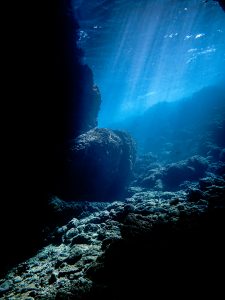 恩納村 ダイビングライセンス