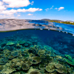 まだまだ夏の沖縄!恩納村で半水面水中写真撮影!!