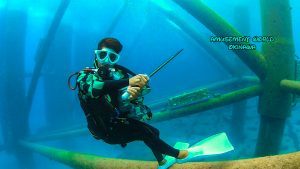 恩納村 ダイビングライセンス