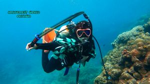 恩納村 ダイビングライセンス